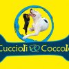 cuccioli&coccole
